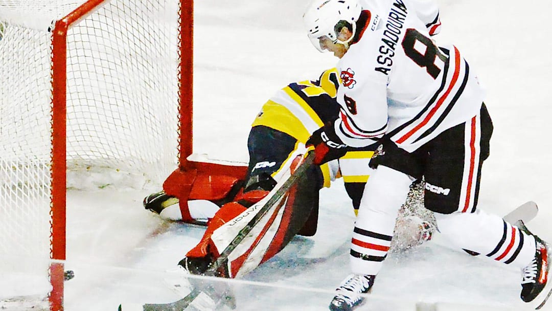 Niagara IceDogs forward Alex Assadourian scores his second goal of the game past Erie Otters goaltender Charlie Burns in the first period of an Ontario Hockey League game at Erie Insurance Arena in Erie on Feb. 14, 2024. Niagara IceDogs forward Alex Assadourian scores his second goal of the game past Erie Otters goaltender Charlie Burns in the first period of an Ontario Hockey League game at Erie Insurance Arena in Erie on Feb. 14, 2024.