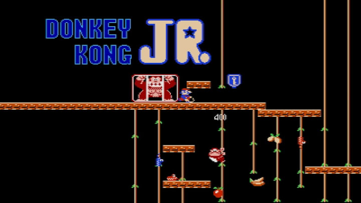 Donkey Kong Jr.