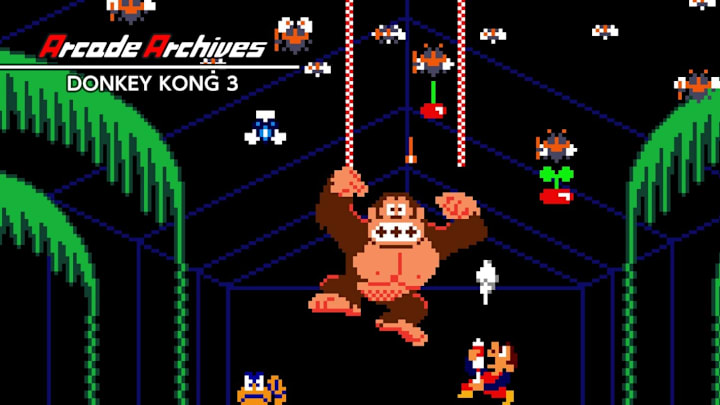 Donkey Kong 3