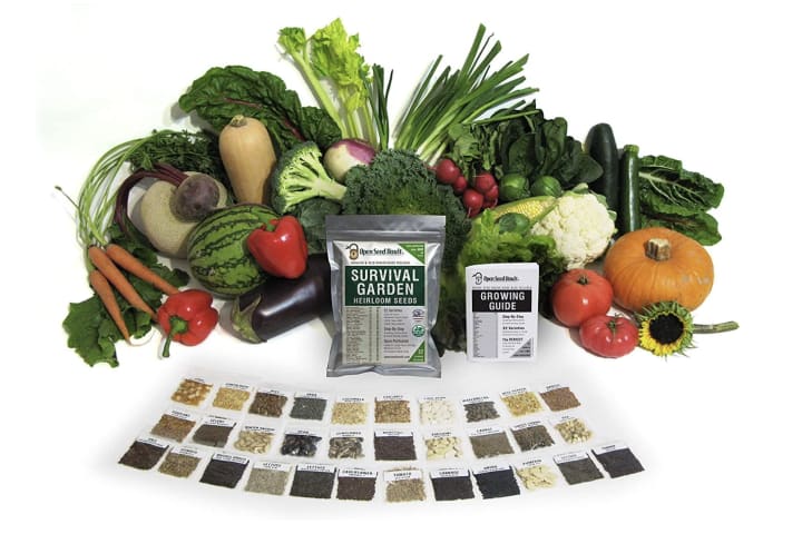 Survival Garden Heirloom Seeds Variety Pack packets with a bounty of vegtables on a white background
