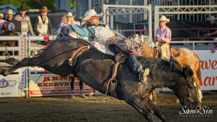 After winning the College National Finals Rodeo bareback title, Weston Timberman is sitting top 15 in the Professional Rodeo Cowboys Association world standings with a shot to reach the Wrangler National Finals Rodeo this December. 