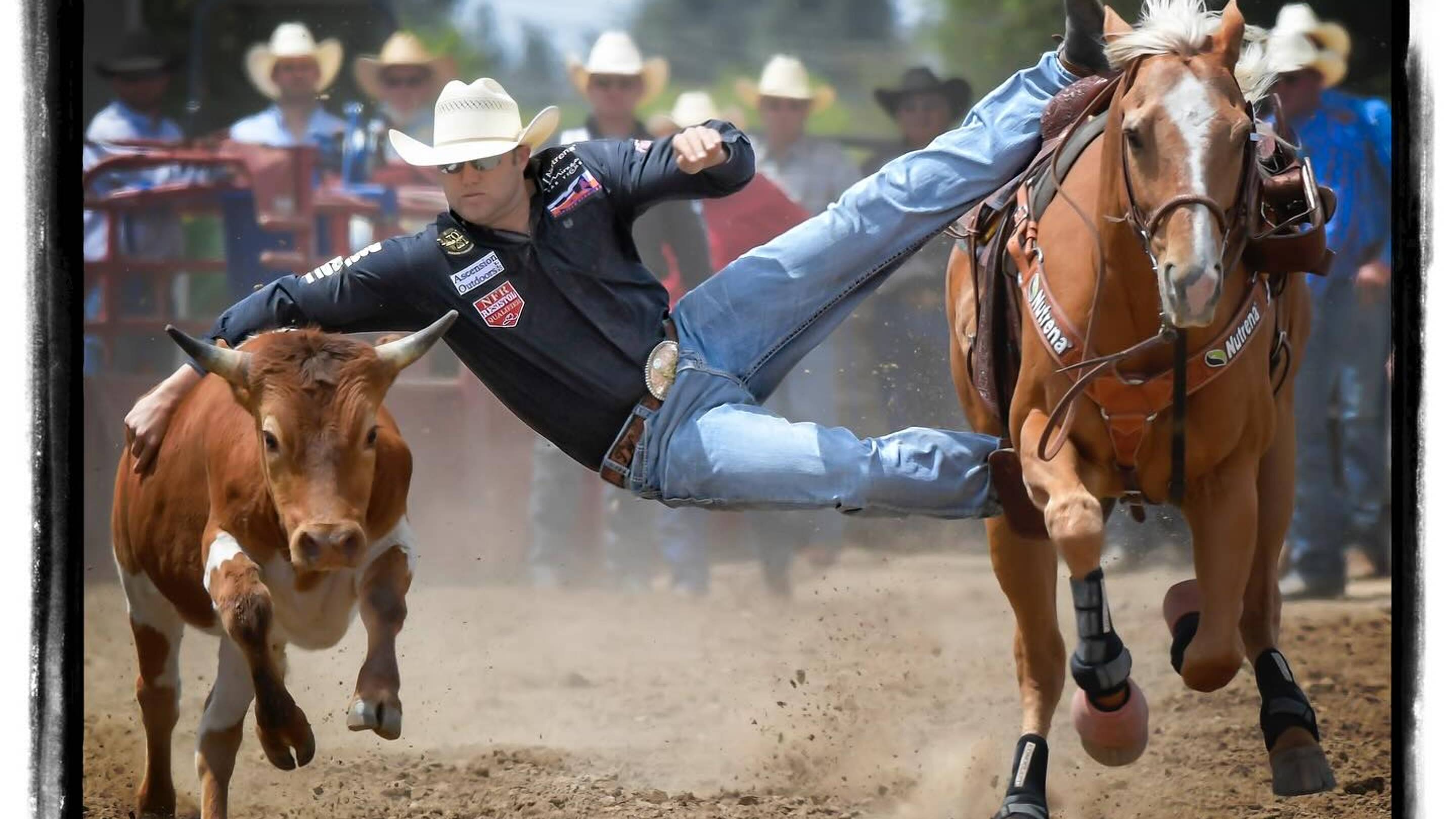 Playoffs Points vs. Earnings: How Puyallup Could Affect the Steer Wrestling Race