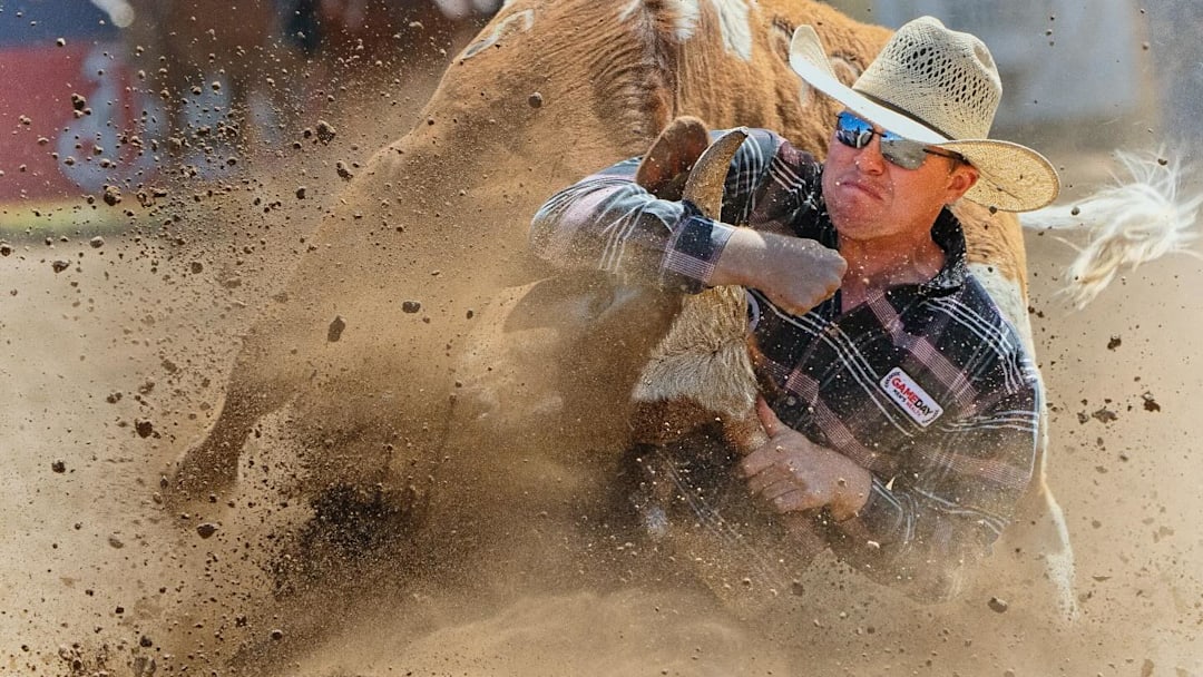 Holden Myers throws down a steer during the Red Bluff (Calif.) Round-Up earlier this month. The Van, Texas, cowboy is currently ranked third in the PRCA World Standings. 