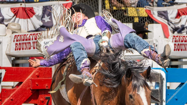 Sam Petersen was forced to sit out three months of action to heal a broken collarbone but has gotten himself back in NFR contention thanks to results like a win at the Golden Spike Rodeo. 