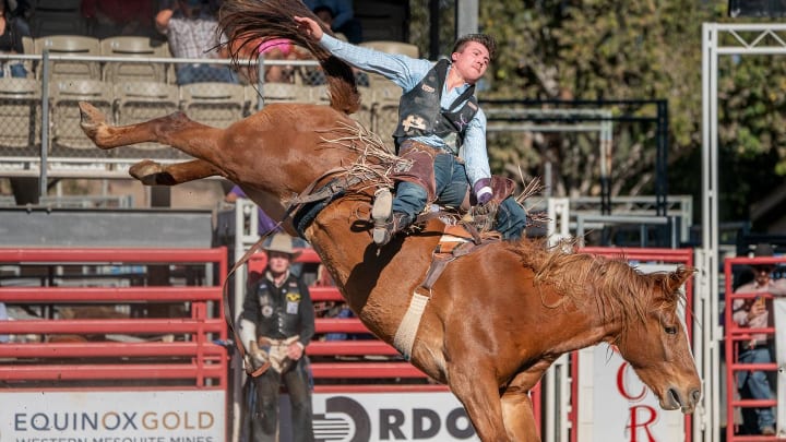 Weston Timberman got his first payday in more than a month, winning the Resistol Rookie Roundup in Fort Worth over the weekend. 