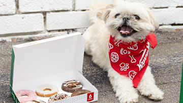 It’s a treat your pooch won’t forget anytime soon. 