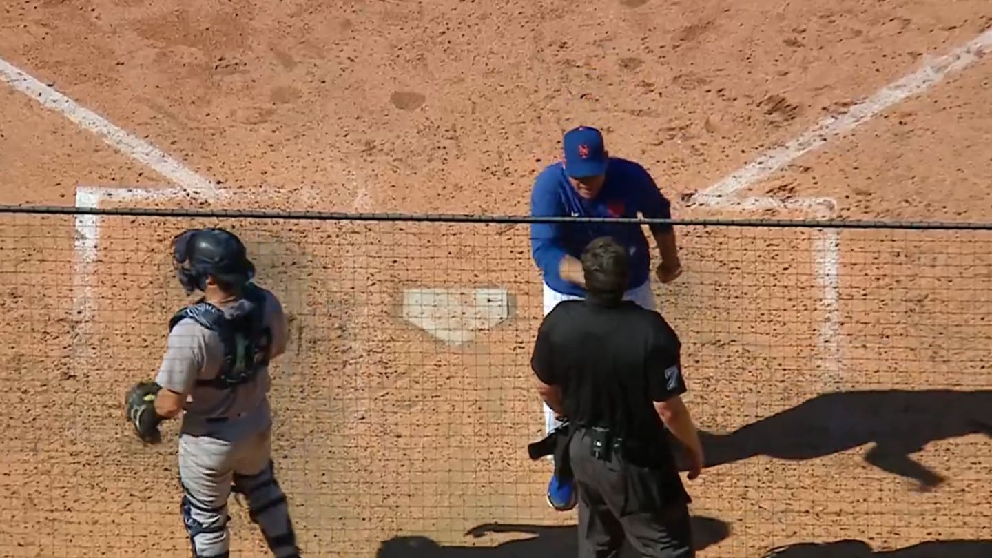Mets Manager Mendoza Ejected, Fans Support During MLB Game