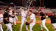 UNLV Baseball celebrates a victory over Air Force