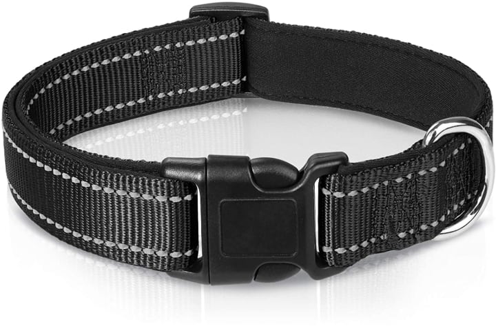 A Joytale Reflective Dog Collar in black.