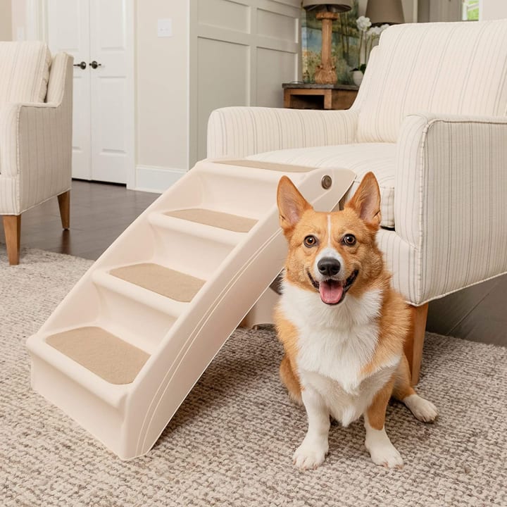 Corgi sitting next to a set of PetSafe CozyUp folding pet steps next to a chair in a living room 
