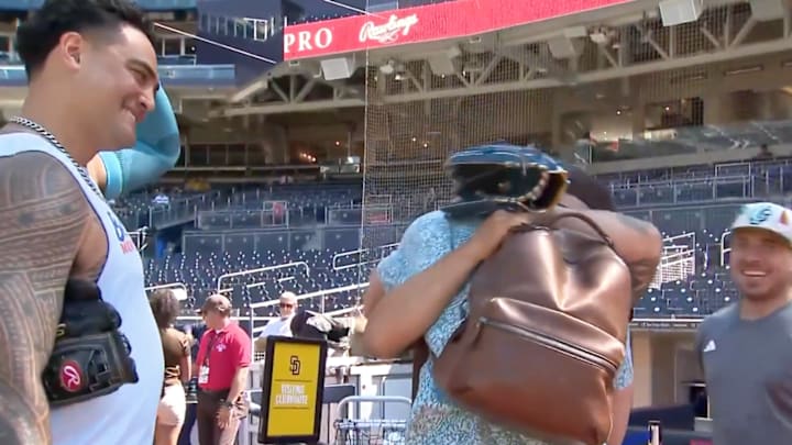 Jose Iglesias’s run with the Mets was brief, but memorable.