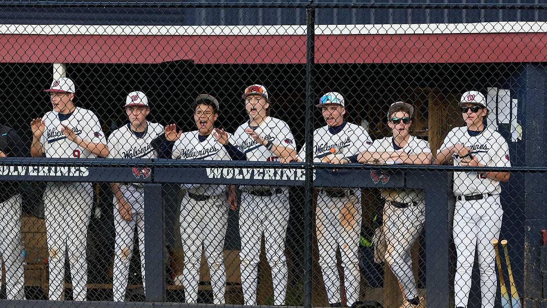 Georgia high school baseball state playoffs