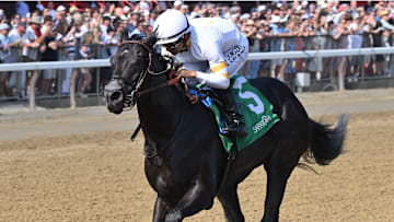 It's Our Time was an impressive maiden winner for trainer Tom Amoss during the summer meet at Saratoga.