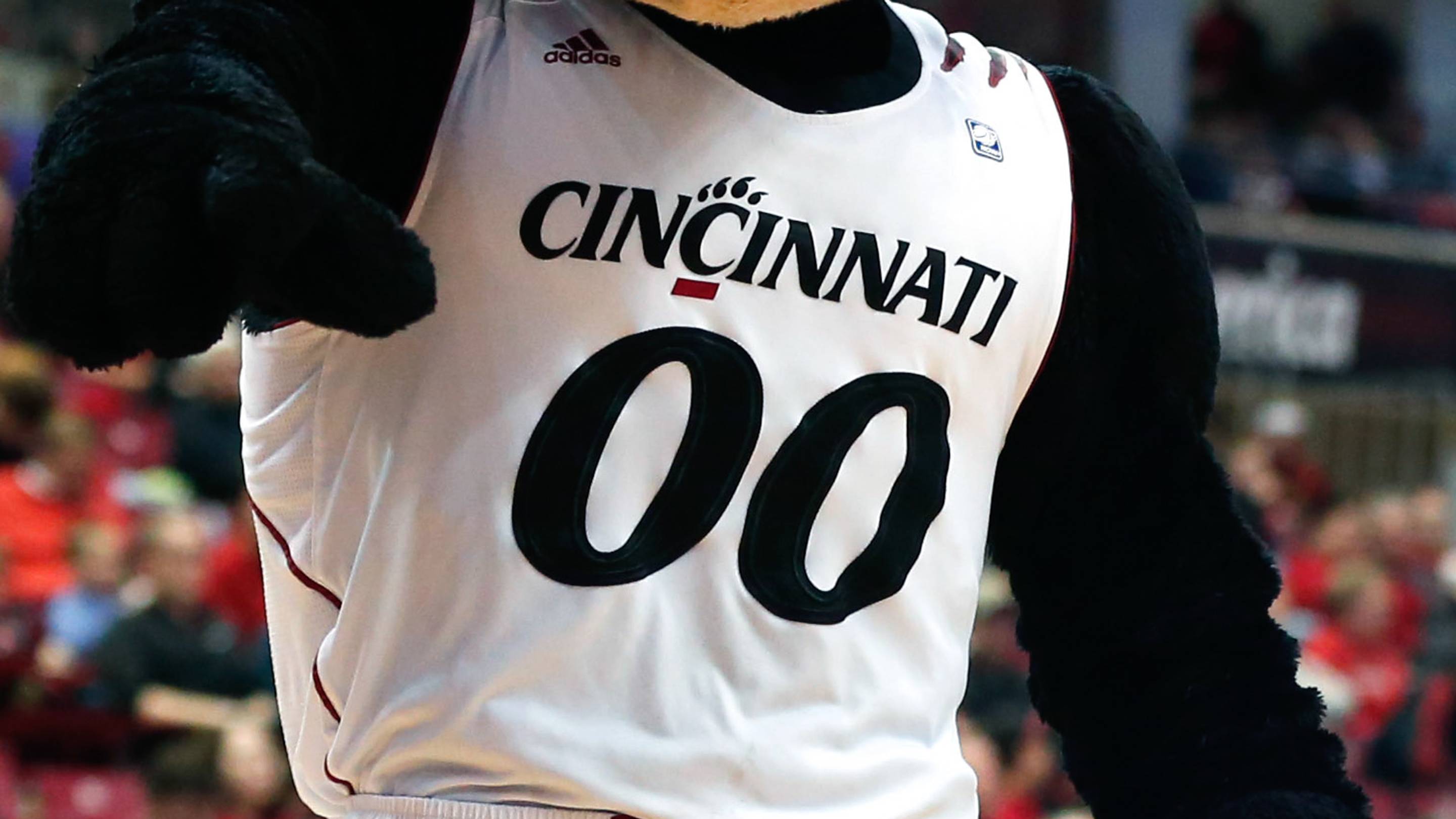 Dec 23, 2014; Cincinnati, OH, USA; The Cincinnati Bearcats mascot against the Wagner Seahawks at Fifth Third Arena. The Bearcats won 72-48. Mandatory Credit: Aaron Doster-USA TODAY Sports | IMAGN IMAGES via Reuters Connect