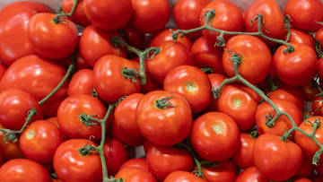 Different types of tomatoes seen during the inauguration of...