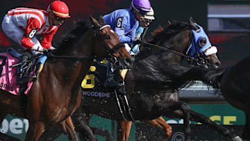 Race of the Day September 13th