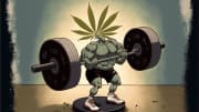 Weight training on weed? Not so smart.