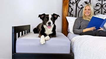 Upgrade Your Pet’s Sleep (and Yours) with This Bedside Pet Bed