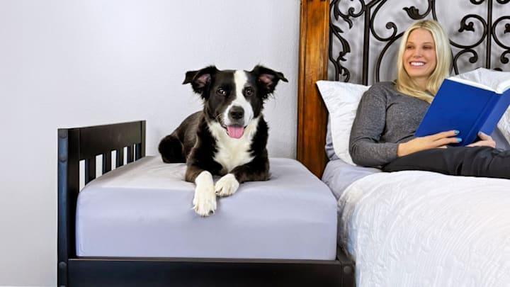 Upgrade Your Pet’s Sleep (and Yours) with This Bedside Pet Bed