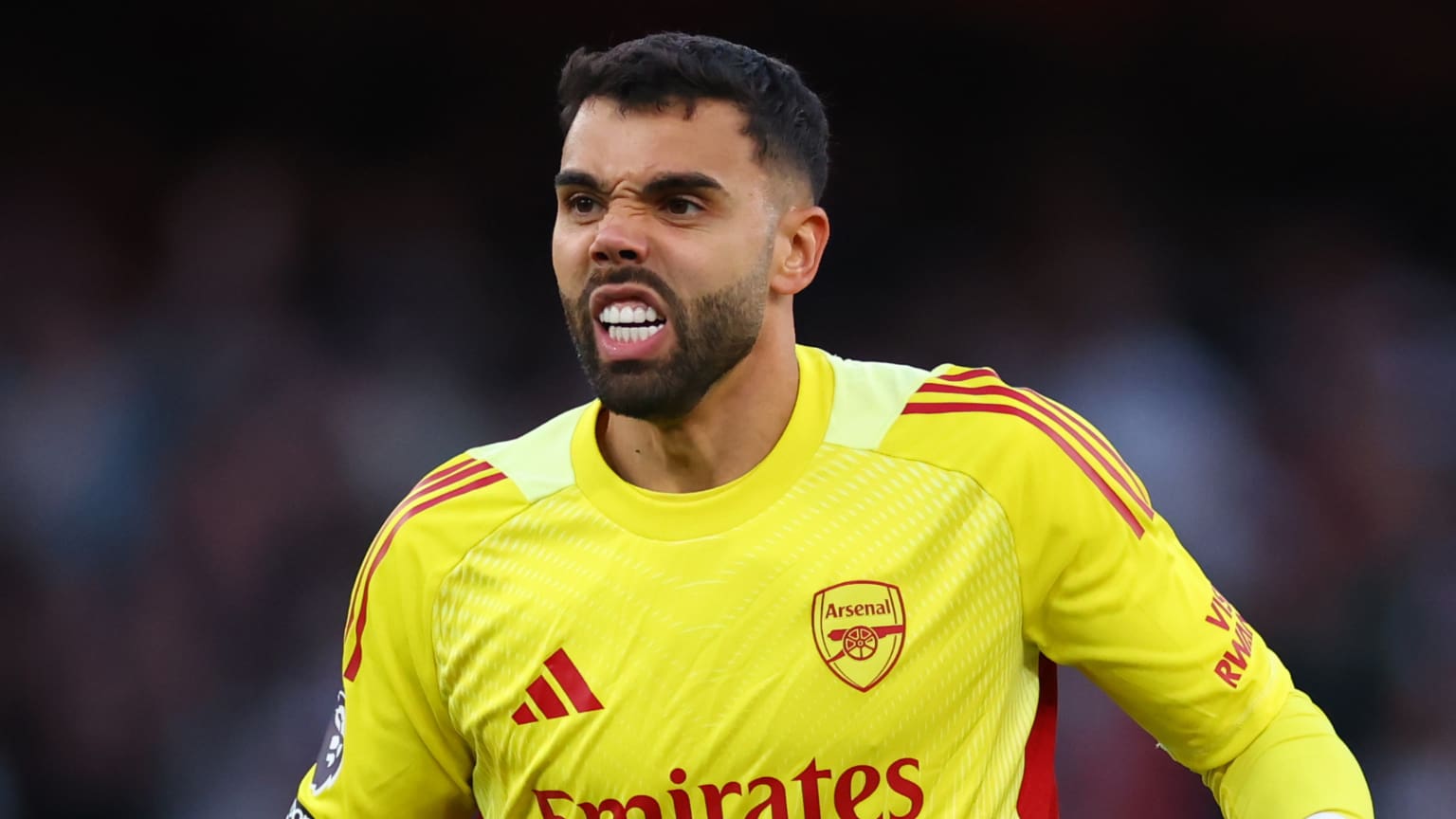 David Raya celebrating.