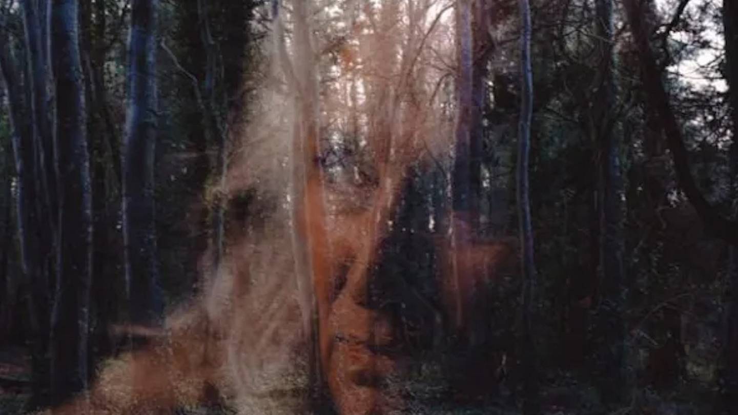 Irish folk horror flick All You Need Is Death set for April release - Vimarsana News