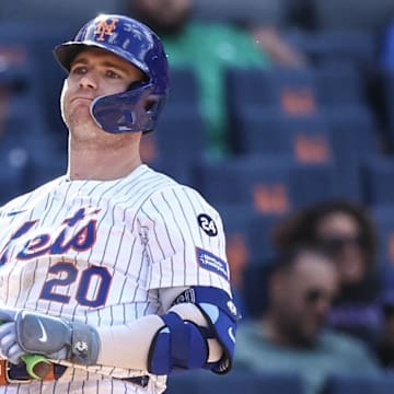 Sep 8, 2024; New York City, New York, USA;  New York Mets first baseman Pete Alonso (20) reacts after being called out on strikes in the eighth inning against the Cincinnati Reds at Citi Field. Mandatory Credit: Wendell Cruz-Imagn Images