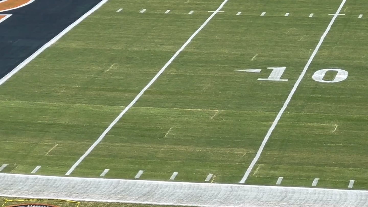 Rough Soldier Field Turf Sparks Player Safety Concerns Ahead Bears-Vikings