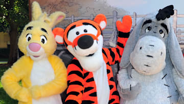 Walt Disney Pictures Presents The Premiere Of "Winnie The Pooh" - Red Carpet