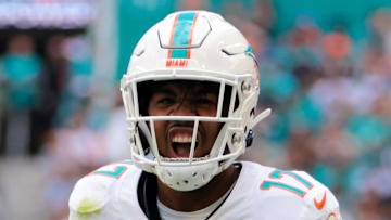 Dec 8, 2024; Miami Gardens, Florida, USA; Miami Dolphins wide receiver Jaylen Waddle (17) reacts after running with the football against the New York Jets during the second quarter at Hard Rock Stadium. Mandatory Credit: Sam Navarro-Imagn Images