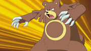 We've compiled a brief guide into everything trainers need to know about Normal-type Pokemon.