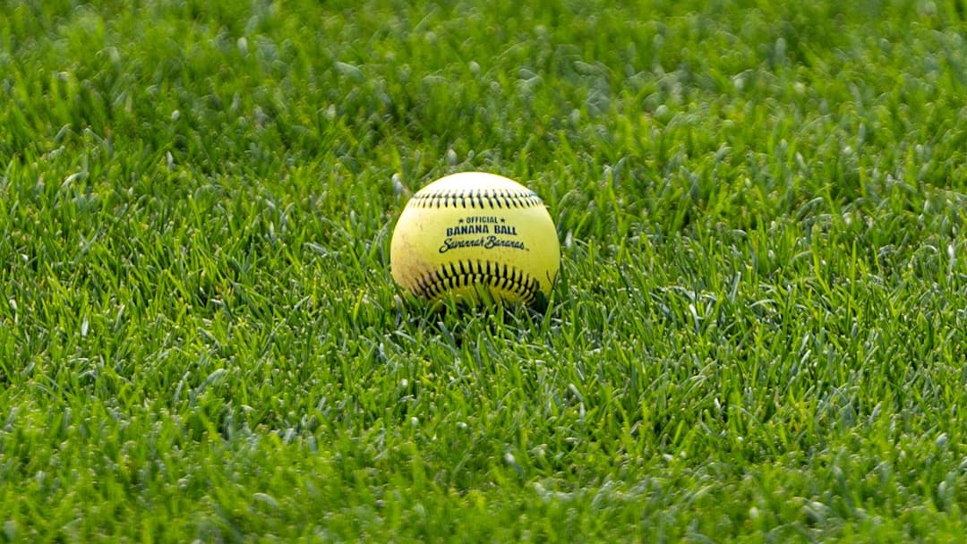 A Savannah Banana baseball sits on the PNC Park grass.