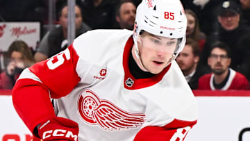 Detroit Red Wings v Montreal Canadiens