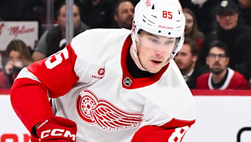 Detroit Red Wings v Montreal Canadiens