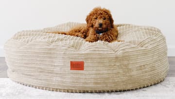 Pamper Your Pet on “Love Your Pet” Day (2.20): The Ultimate Bed From cordaroys!
