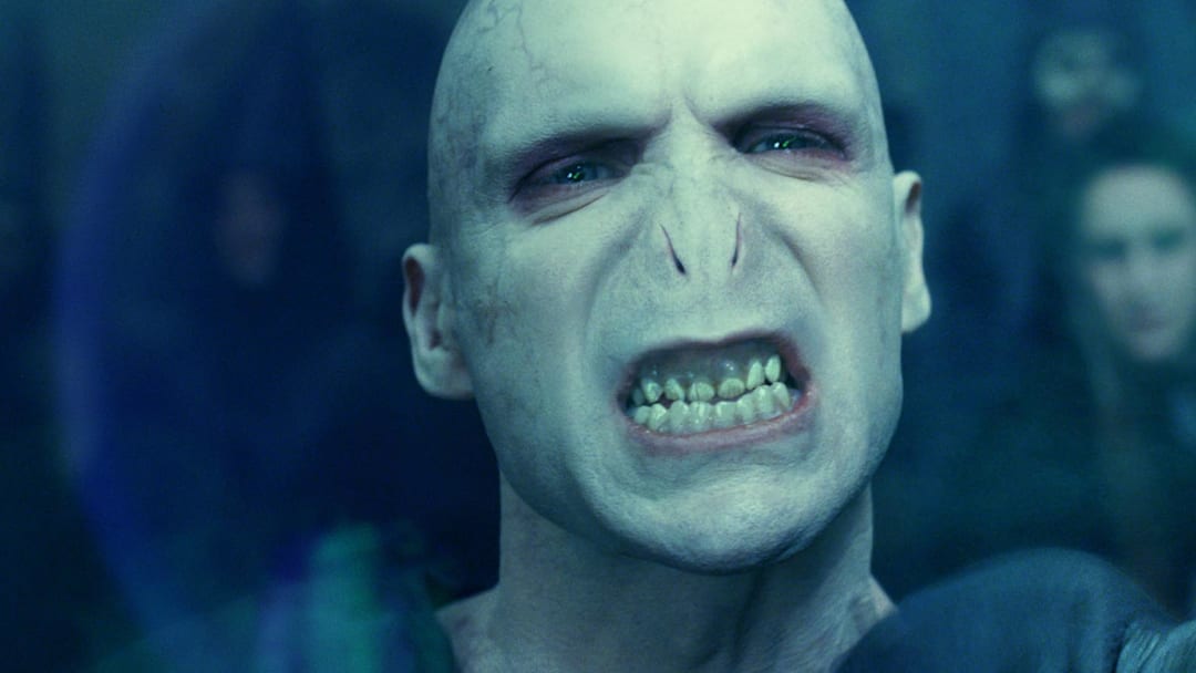 The Real Look of Lord Voldemort from "Harry Potter and the Goblet of Fire"