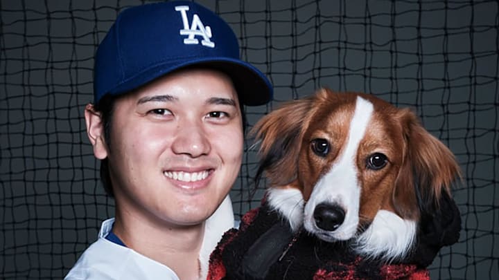 Shohei Ohtani loves his dog Dekopin (Decoy), a Dutch Kooikerhondje.