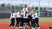 AUSL Talons celebrate a walk-off victory over the Bandits in Omaha.