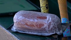 The Minnesota Twins' rally sausage