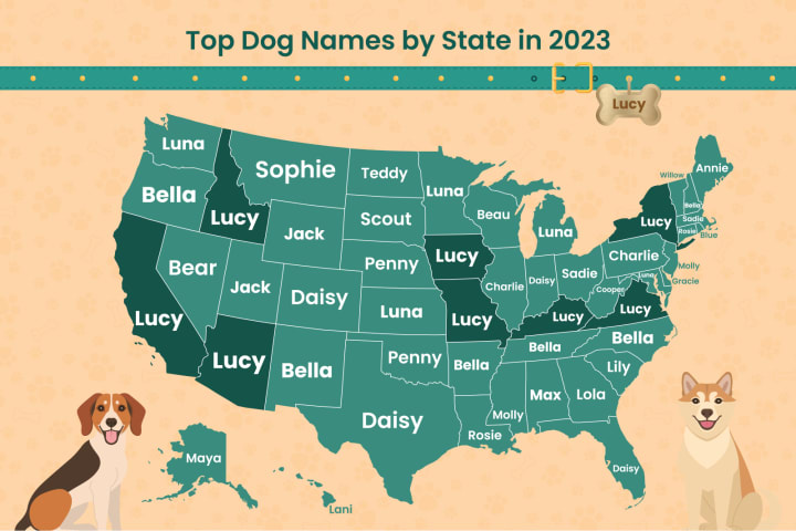 Inforgraphic of the top dog names by state in 2023. 