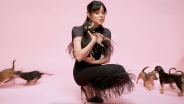 Jenna Ortega Puppy Interview. Image Credit to Buzzfeed. 