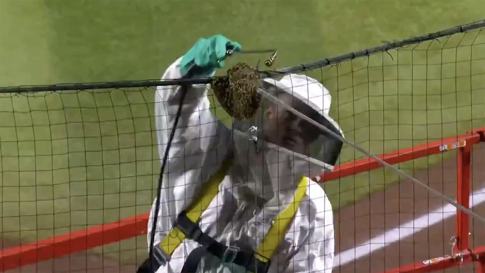 A beekeeper takes care of a colony behind home plate
