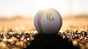 Perfect Game Logo Baseball