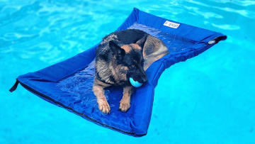 Dog Floats For Summer from Lazy Dog Loungers