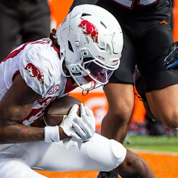 Arkansas Razorbacks wide receiver Tyrone Broden (17) hauls in the game-winning overtime touchdown at Steve Spurrier Field at Ben Hill Griffin Stadium in Gainesville, FL on Saturday, November 4, 2023 in the second half. Arkansas defeated Florida 39-36 in overtime. [Doug Engle/Gainesville Sun]