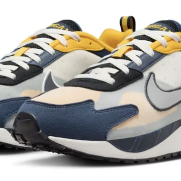 Michigan Wolverines Nike Unisex Air Max Solo Shoes