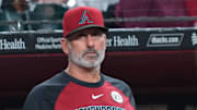 Sep 15, 2025; Phoenix, Arizona, USA; Arizona Diamondbacks manager Torey Lovullo (17) looks on against the San Francisco Giants during the fourth inning at Chase Field. Mandatory Credit: Joe Camporeale-Imagn Images