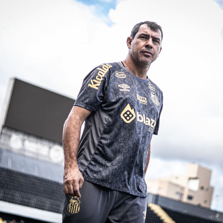 Fábio Carille, técnico do Santos para a disputa da Série Bde 2024
