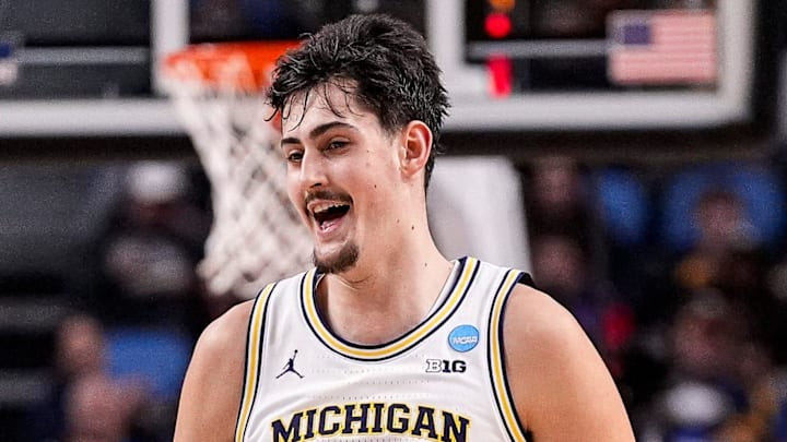 Aday Mara, Michigan Wolverines