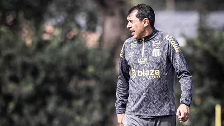 Fábio Carille, técnico do Santos