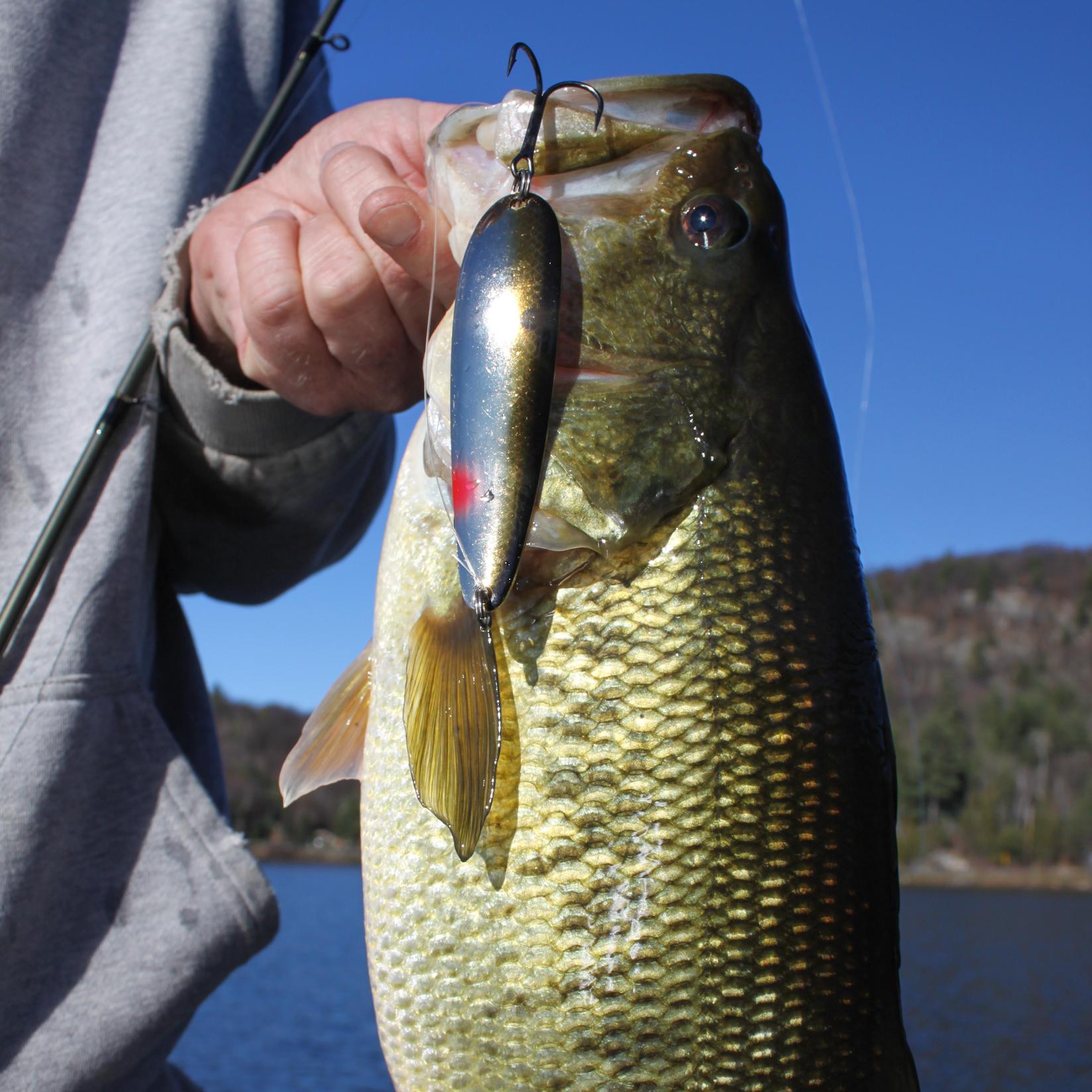 bass fishing lure that looks like a fish Bone Thug | Soft Plastic Swimbait Constructed with a tough Subscription Color:Sw #810 Mat Black Python Spinning Reel Combo Walmart